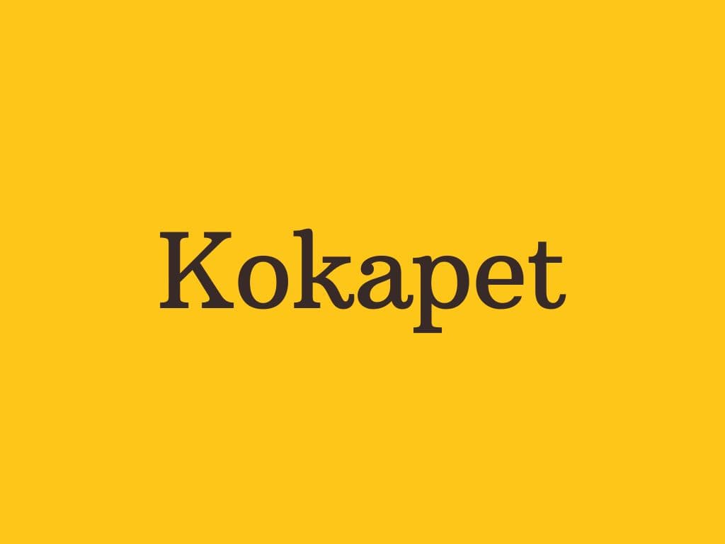 Apartments in Kokapet